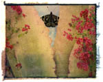Art work by Sandi Daniel