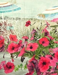 Beach Petunias 7